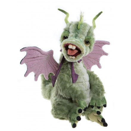 Signature Collection