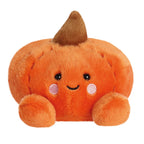 Palm Pals - Paisley Pumpkin 13cm Soft Toy