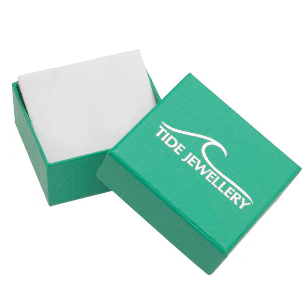 Paua Shell Penguin earrings