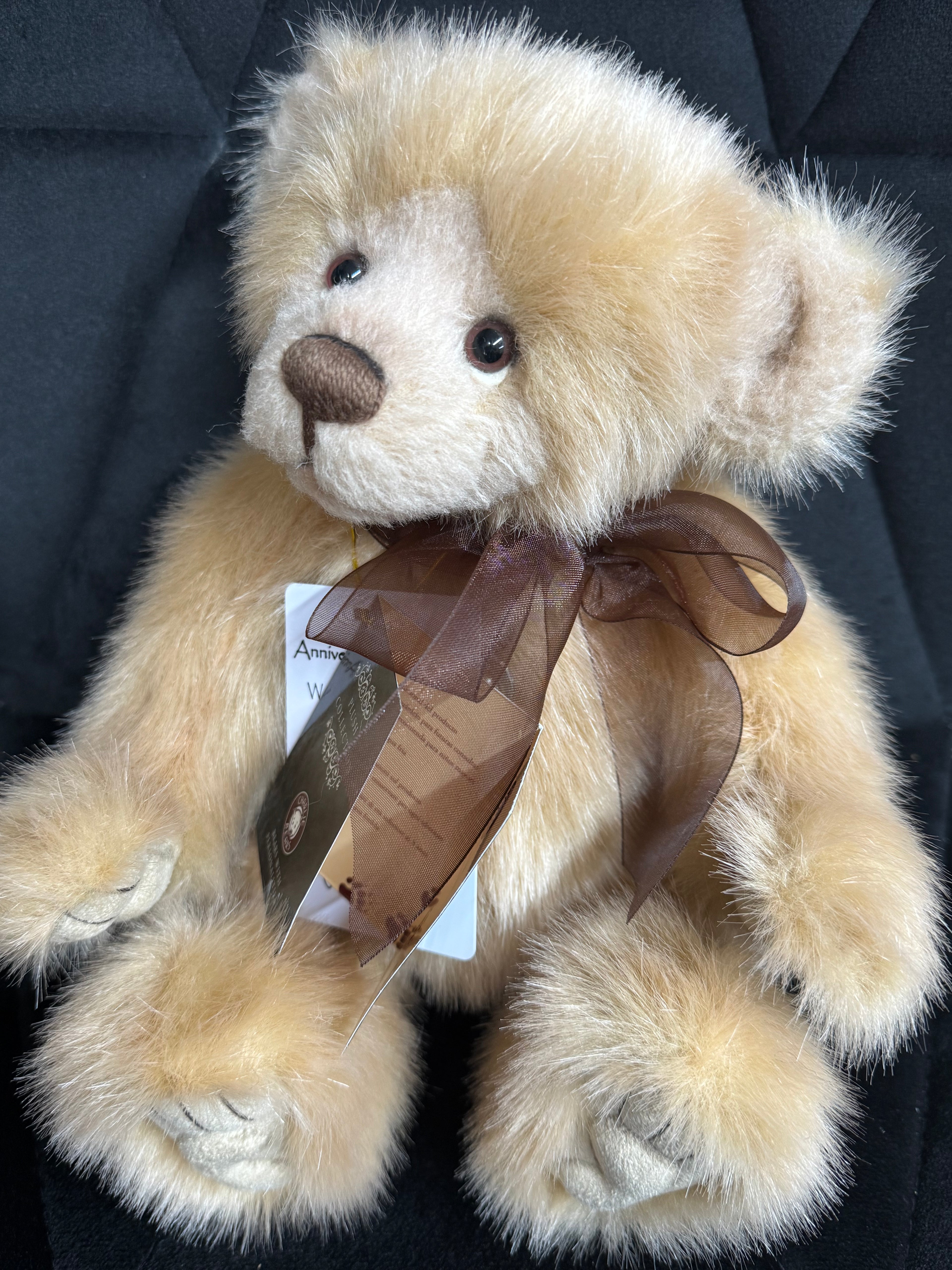 Charlie Bear - Anniversary Scribbles