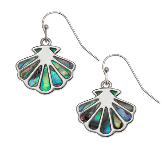 Paua Shell- Scallop Shell Hook Earrings