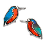 Paua Shell Kingfisher Stud Earrings