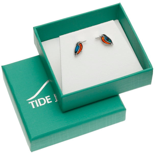 Paua Shell Kingfisher Stud Earrings