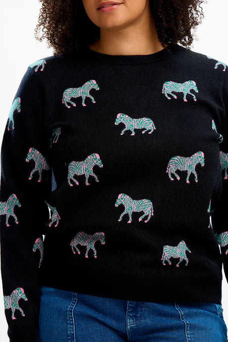Lizzie Jumper - Black, Vibrant Zebras