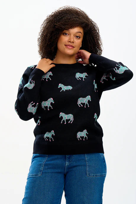 Lizzie Jumper - Black, Vibrant Zebras
