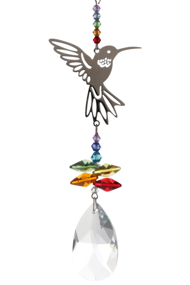Wild Things - Crystal Fantasy - Hummingbird - Rainbow