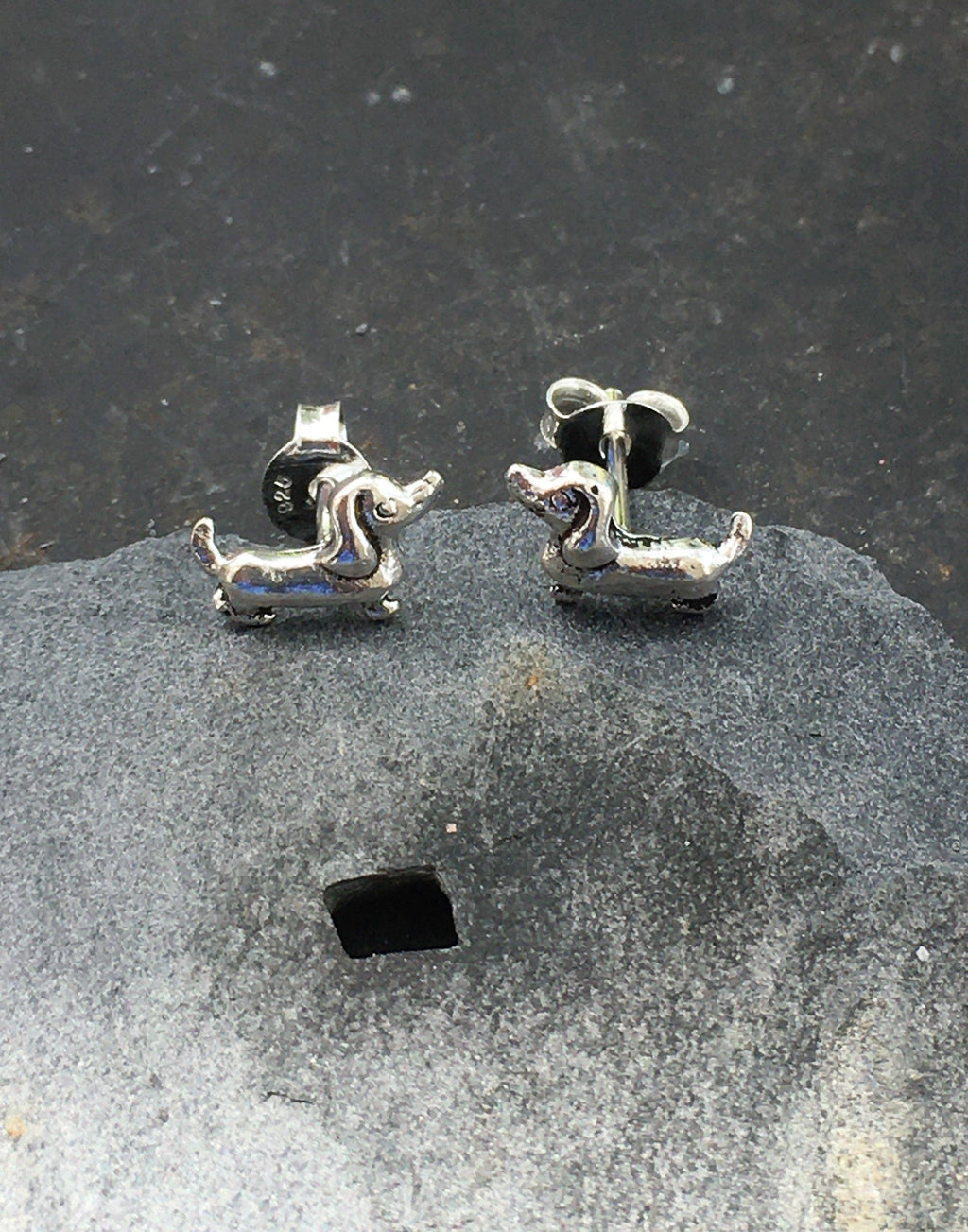 Blue Lily 925 - Dachshund Stud