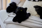 Warmies® Black Cat