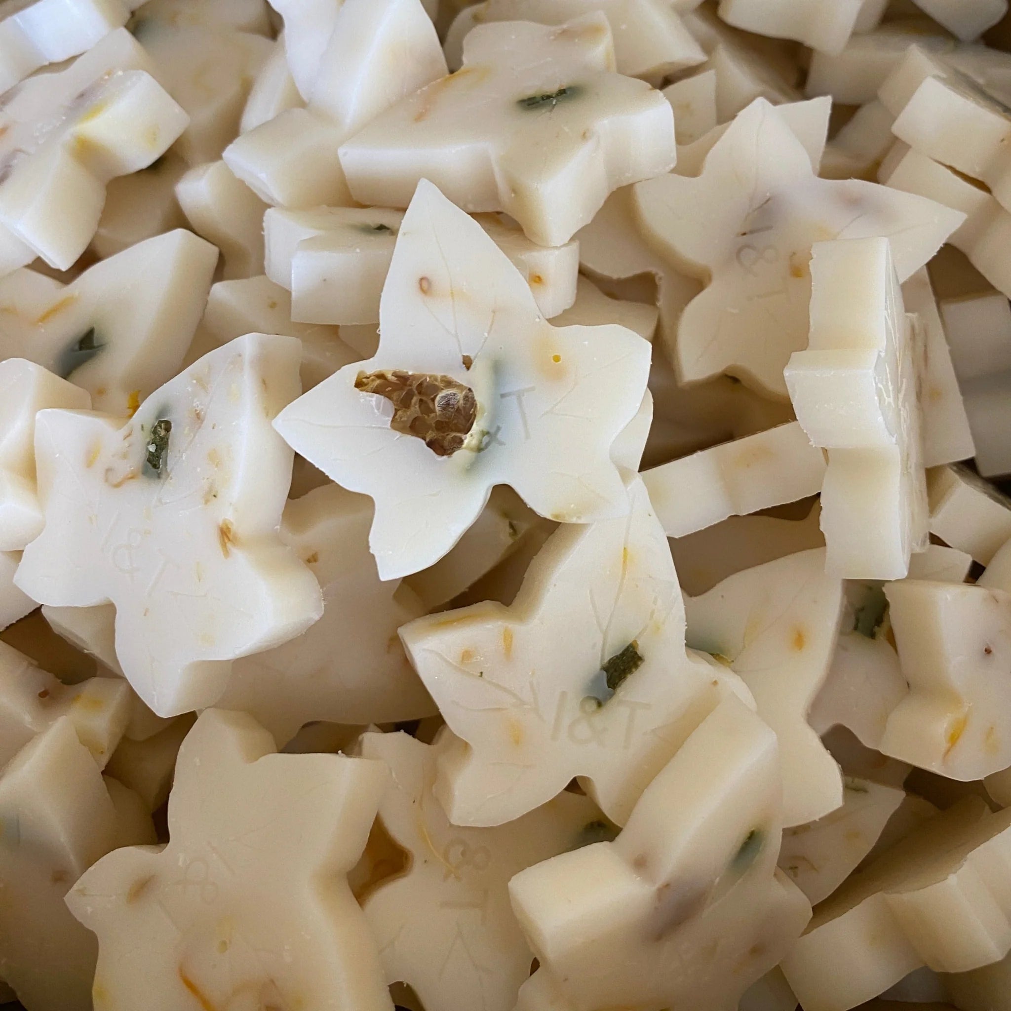 Ivy & Twine - Mango & Lime  x 10 Wax Melts