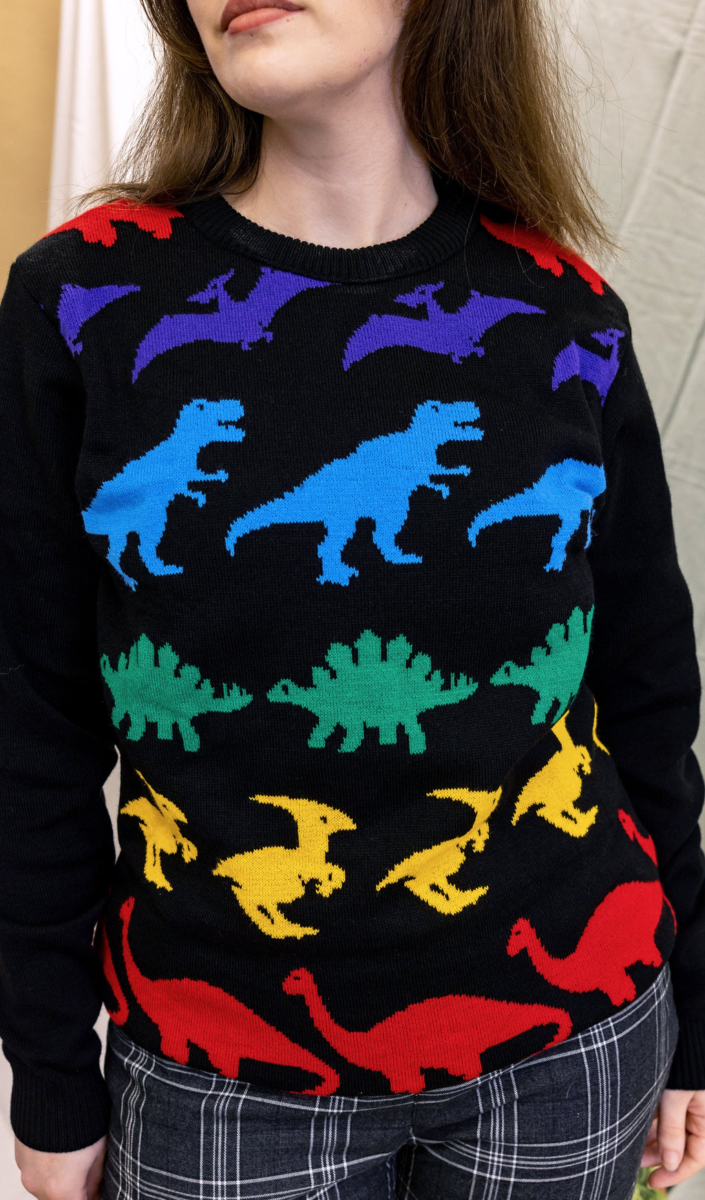 Rainbow Dinosaur Mash Up Jumper