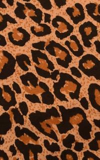 Natural Leopard Print T Shirt